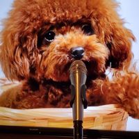 🎤カラオケ行きません？ver.2🎤宮城・仙台