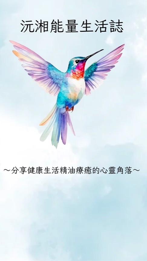 沅湘能量生活誌