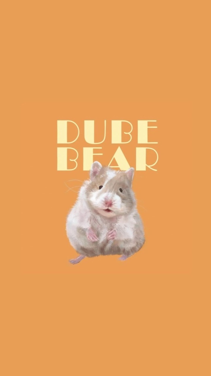 Dubebear •鼠都｜金絲熊舍｜波利鼠｜卷毛黃金鼠