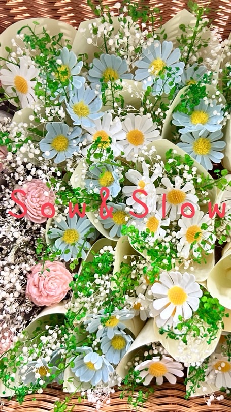 澄蒔苒苒🌼吸金小組💰💰