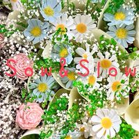澄蒔苒苒🌼吸金小組💰💰