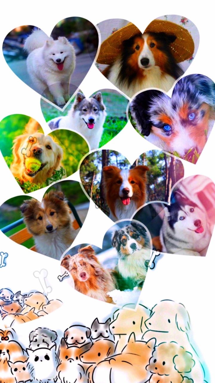 The Cute Dog ▼・ᴥ・▼