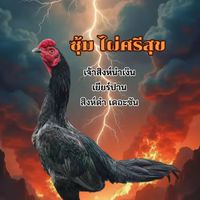 ซุ้ม ไผ่ศรีสุข 🏆🐓