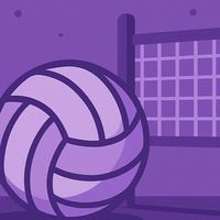 วอลเลย์บอลสีม่วง 🤍💜