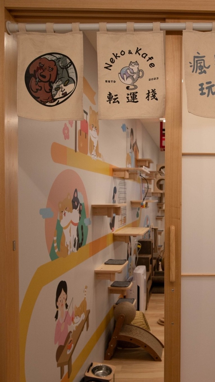転運棧勞闆尬電-貓奴團購精(經)分群