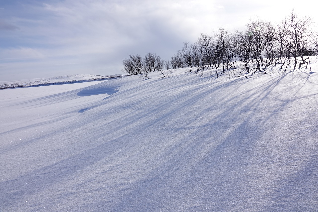 旅遊攝影師貝琪梨的極地遠征！Sony RX10 IV 極光 / 飛羽實戰拍攝分享