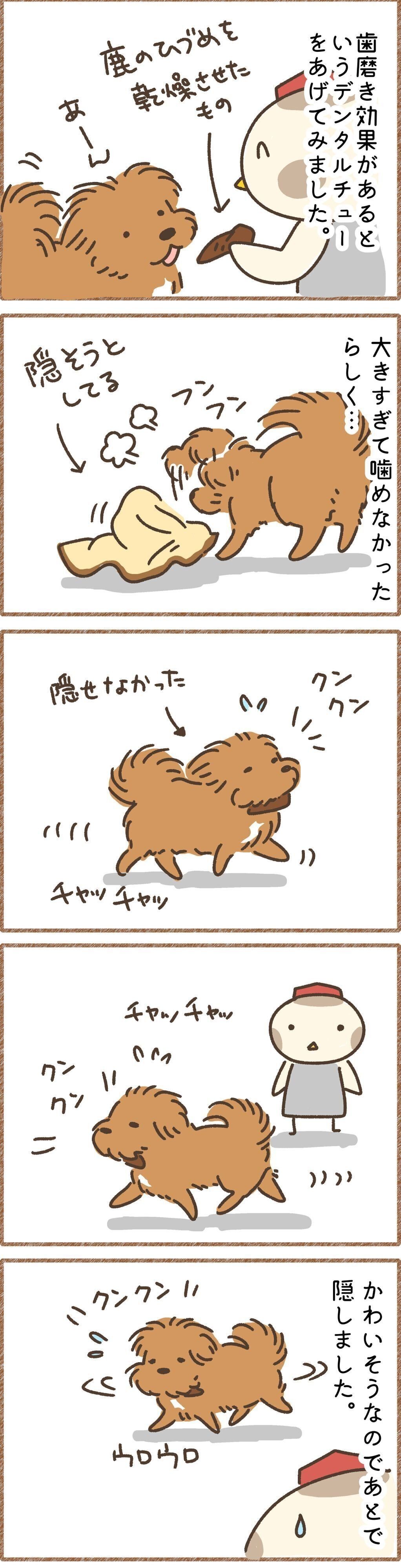 おやつを隠したくてウロウロ でも場所が見つからない