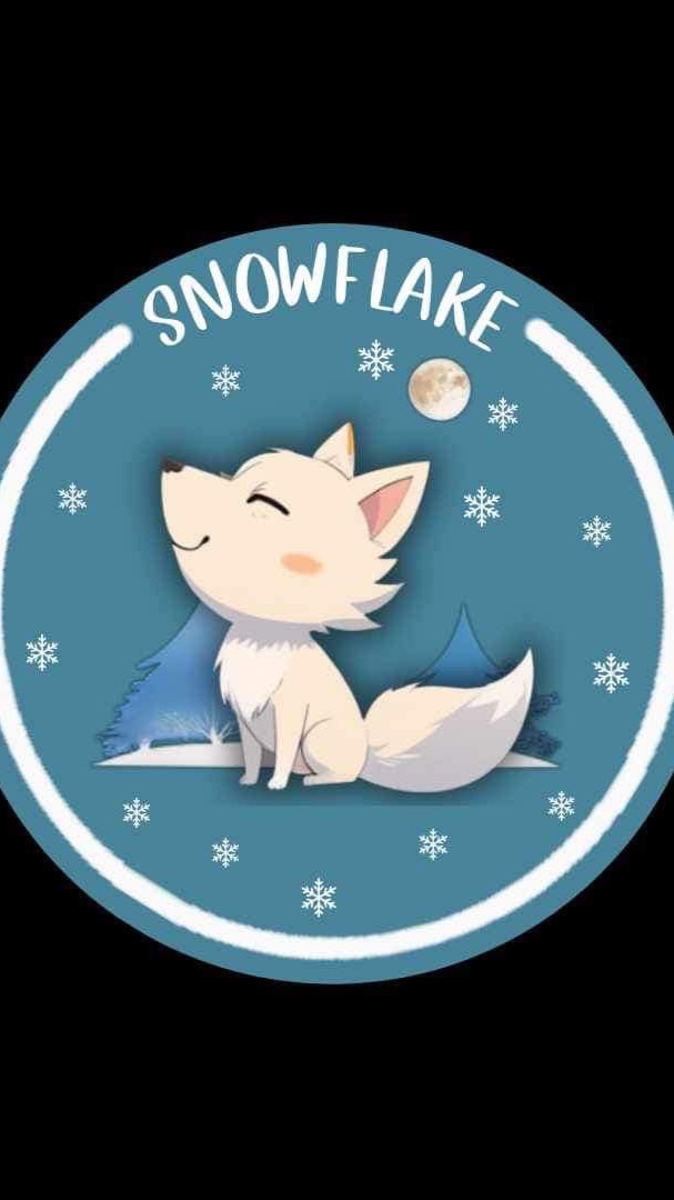 ❄️S N O W  F L A K  E❄️