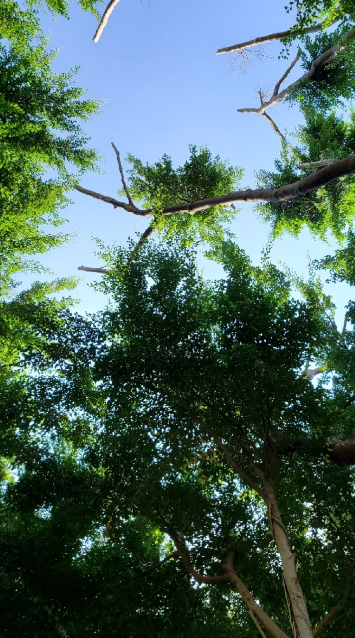 松山新城是我家