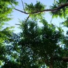 松山新城是我家