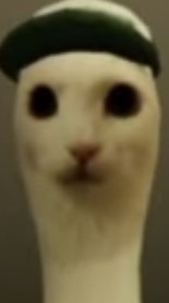 如何打敗共產黨