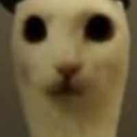 如何打敗共產黨