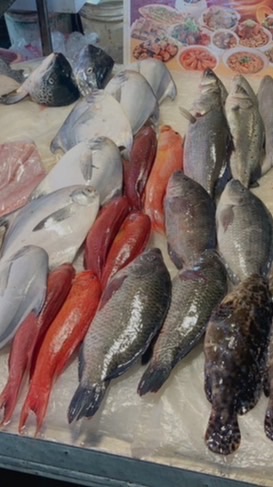 🌊 活海鮮直送｜鮮鮮到家 🐟🦐⚓ 幸鮮阿霖｜🧊 現流海味買起來！🐚✨