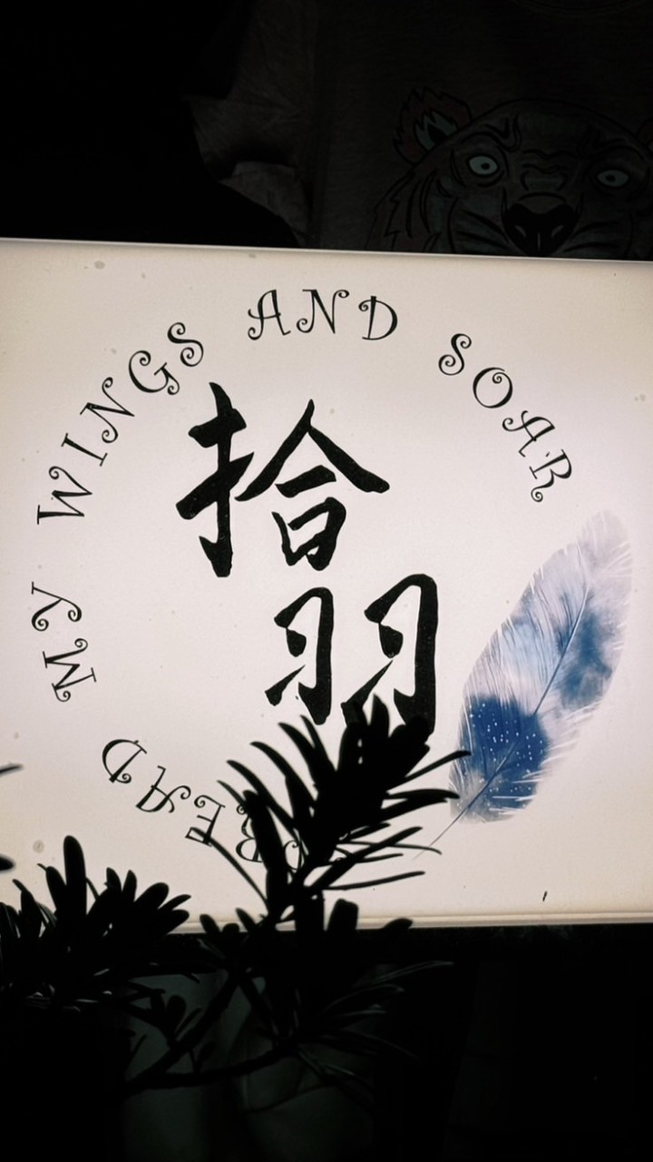 拾羽精品
