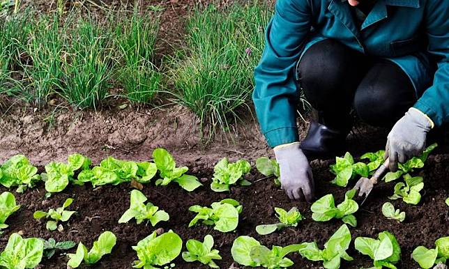 Bisnis yang Cocok Dijalankan untuk Para Fresh Graduate