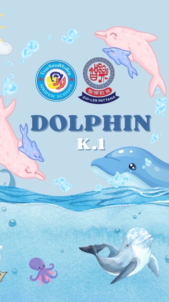 ห้องอนุบาล 1/2 Dolphin 2568