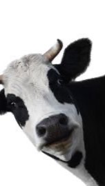 中学生集まれ‼️🈁