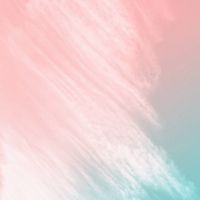 ৡৢ 𝓥𝓮𝓽 𝓟𝓪𝓼𝓼 ✦ 115獸醫國考交流討論࿐
