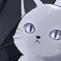 文面試合保管所