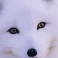 ♡ゆなにで保管庫♡
