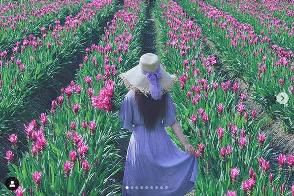 圖片來源 / IG @3more_hi4