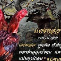FC# ส.มีสุวรรณ พม่าตอคม