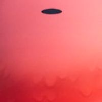 ブレインロット楽しもーう！