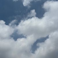こうダスグループ