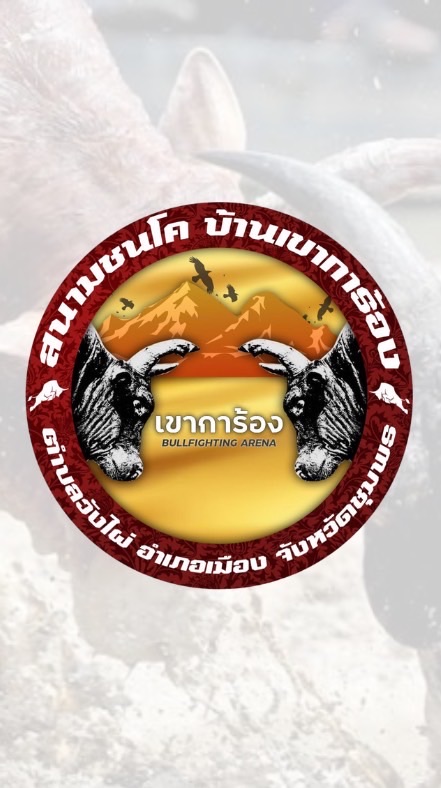 คนรักวัวเขาการ้อง 🐂