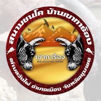 คนรักวัวเขาการ้อง 🐂