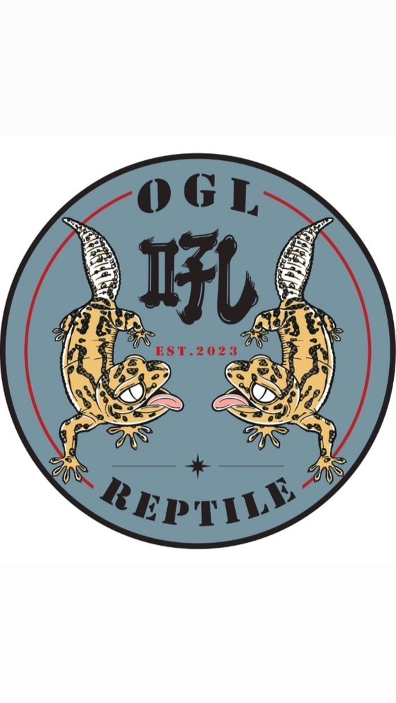 吼REPTILE