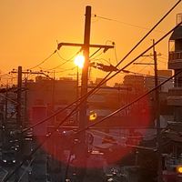 掲示板 フレンドシップソフトテニスAcademicAca