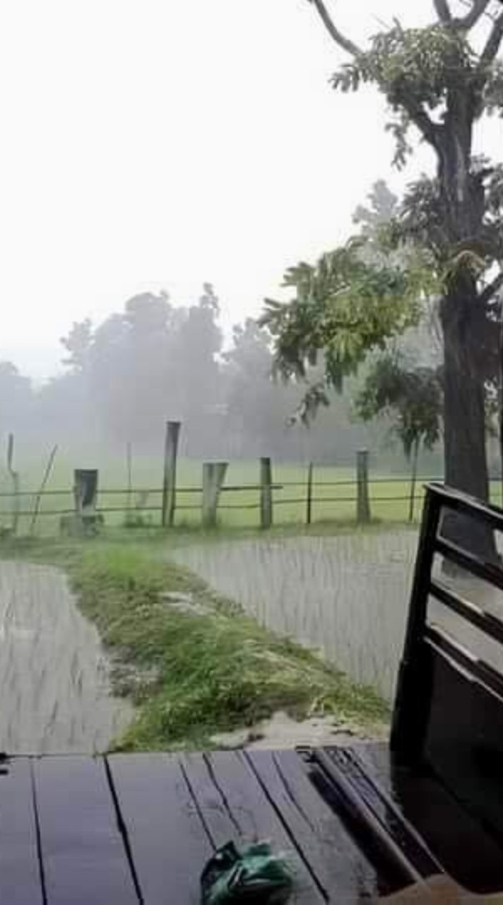 #ชายนิรนาม