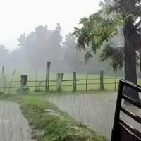 #ชายนิรนาม