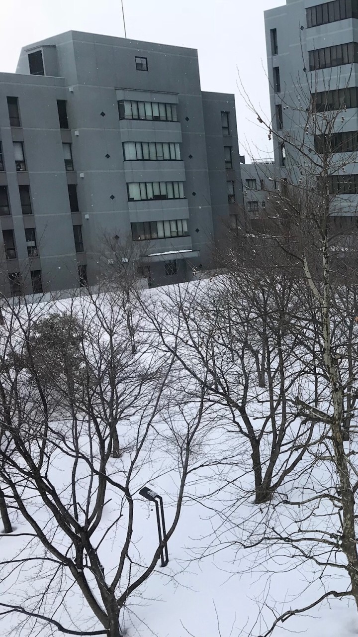 【JAIST】北陸先端科学技術大学院大学