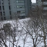 【JAIST】北陸先端科学技術大学院大学