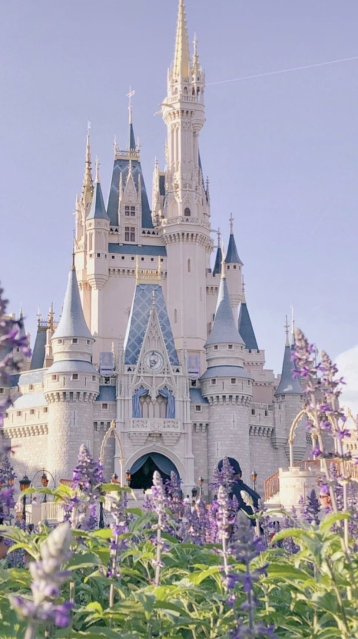 โรงเรียน 𝒮𝒸𝒽𝑜𝑜𝓁 𝑜𝒻 𝒹𝓇𝑒𝒶𝓂𝓈.🌟💤