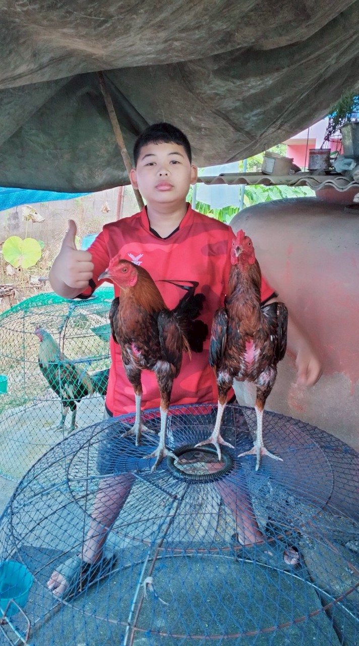 ส.เจริญฟาร์ม