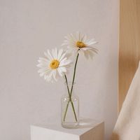 造型師彩妝材料批發/代購