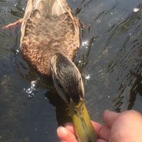 関西人〜、、、に固定はしてないから圏外でも全然オケ😆👍