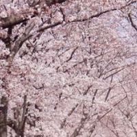 大阪府　摂津市