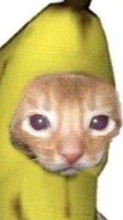 2566