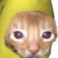 2566