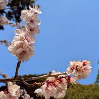 感謝ワーク♥魔法の教室「学校ではない学び」がここに。