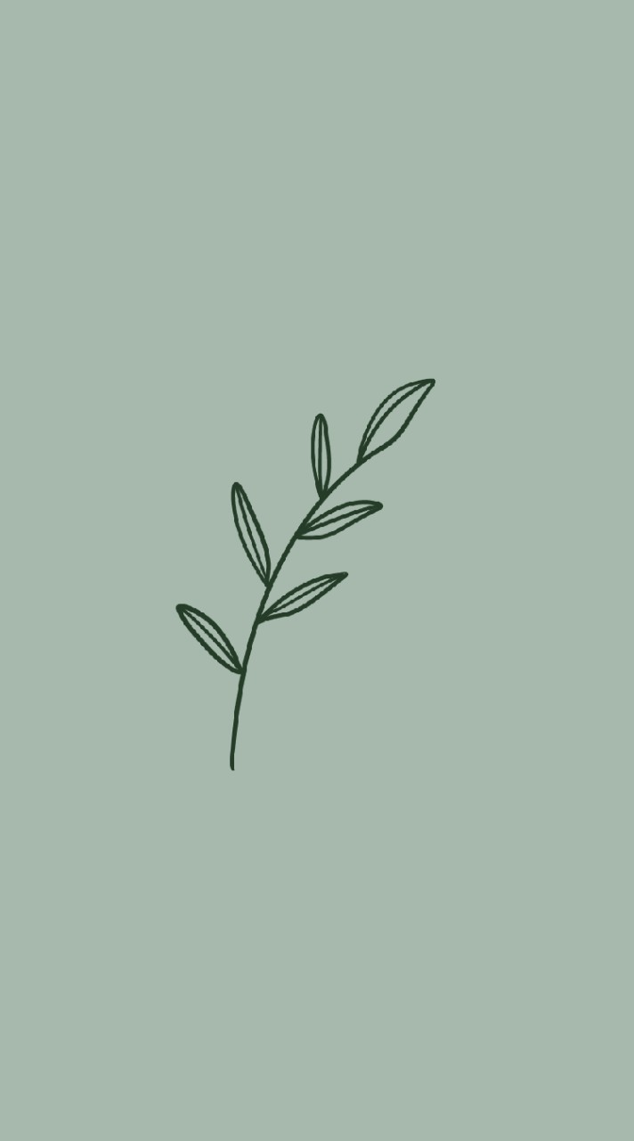 Soop.森林代購🌱
