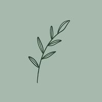 Soop.森林代購🌱