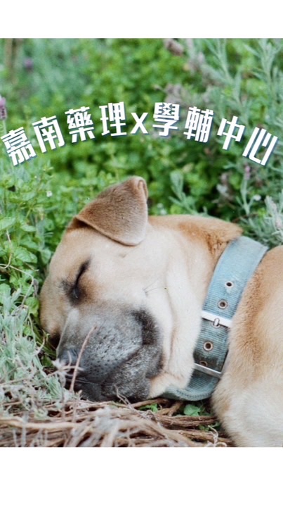 一起陪伴的路｜嘉藥輔導股長