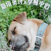 一起陪伴的路｜嘉藥輔導股長