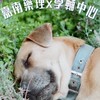 一起陪伴的路｜嘉藥輔導股長