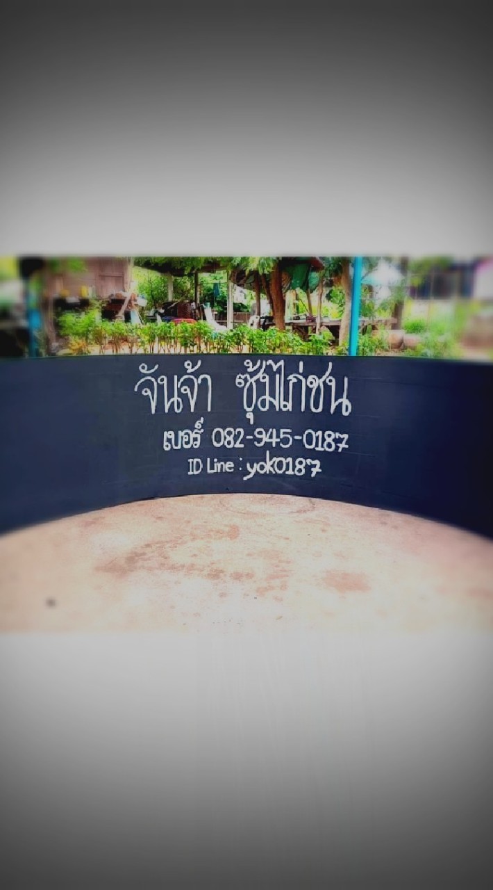 ตี๋หยก-ซุ้มจันจ้า ขอนแก่น